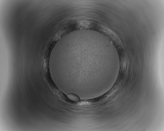 X0000098070759200804110922