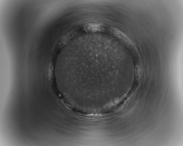 X0000098070760200804110922