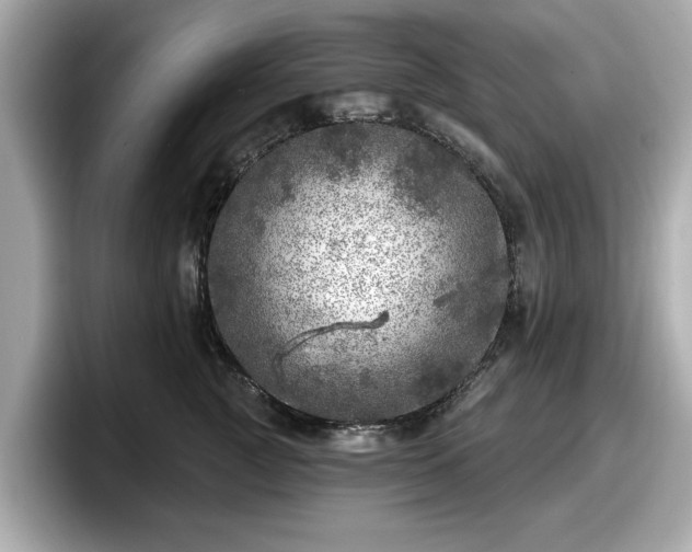 X0000098070761200804110922