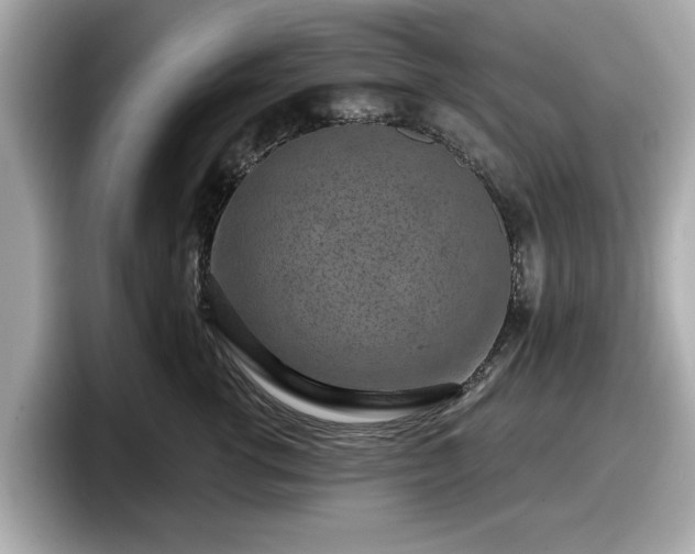 X0000098070762200804110922