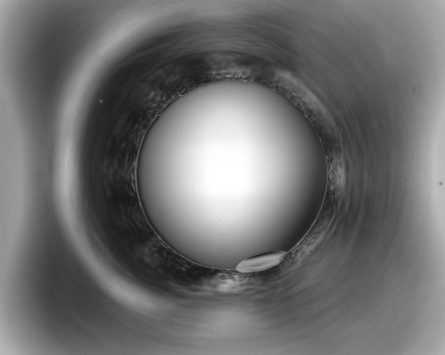 X0000098070764200804110922