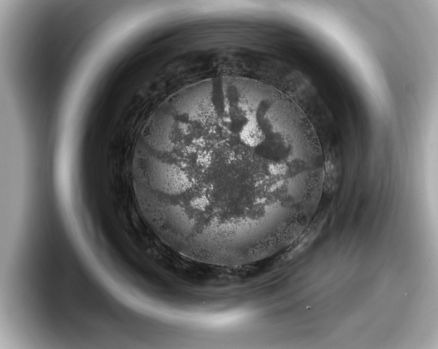 X0000098070765200804110922