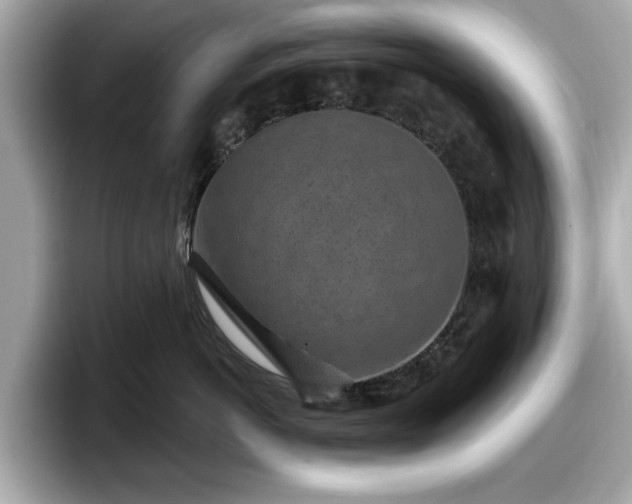 X0000098070766200804110922