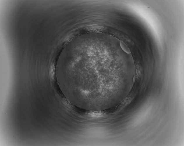 X0000098070767200804110922