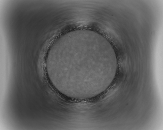 X0000098070769200804110922