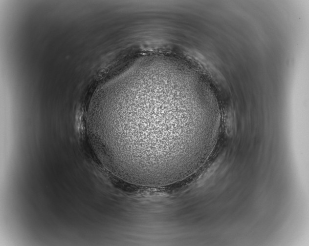 X0000098070770200804110922