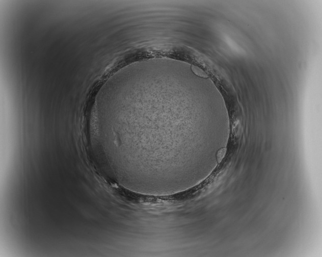 X0000098070772200804110922