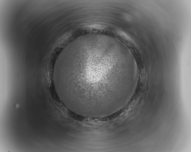 X0000098070774200804110922