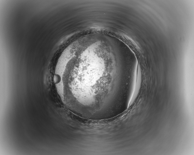 X0000098070776200804110922