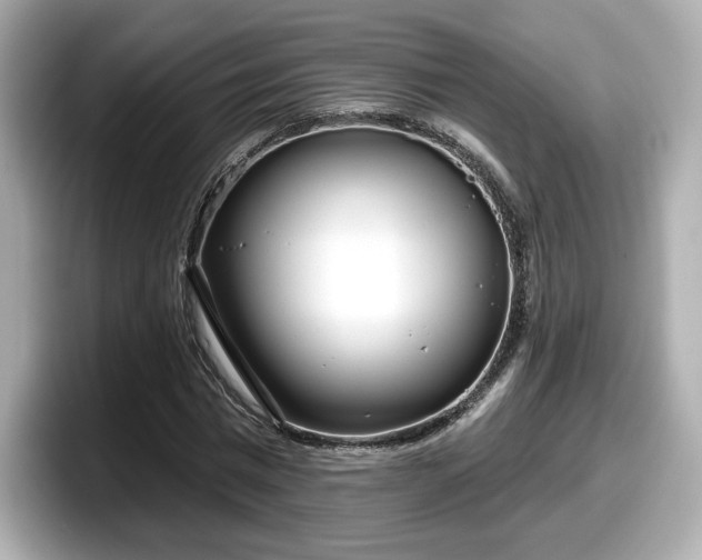 X0000098070777200804110922