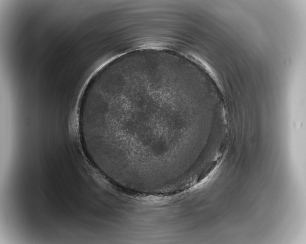 X0000098070779200804110921