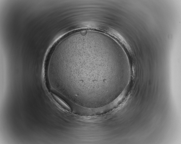 X0000098070780200804110921