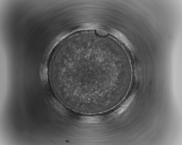 X0000098070781200804110921