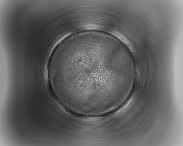 X0000098070782200804110921