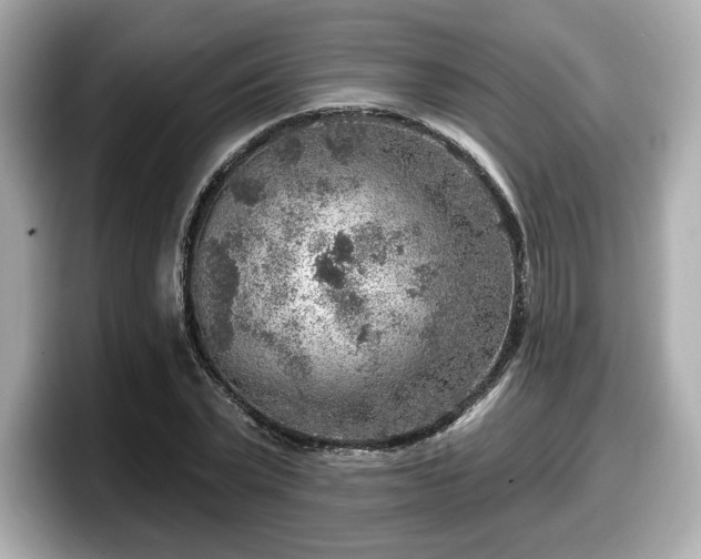 X0000098070783200804110921