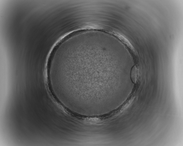 X0000098070784200804110921