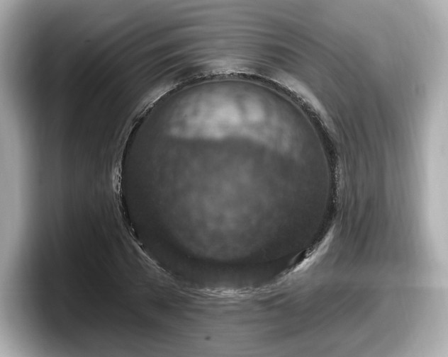 X0000098070785200804110921