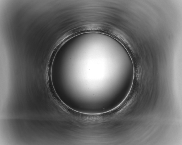 X0000098070786200804110921