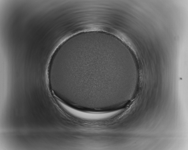 X0000098070789200804110921