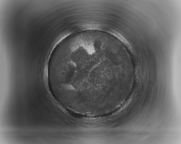 X0000098070790200804110921