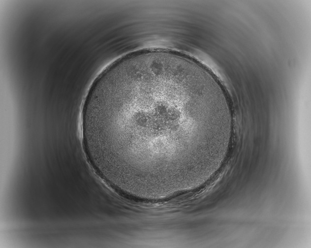 X0000098070791200804110921