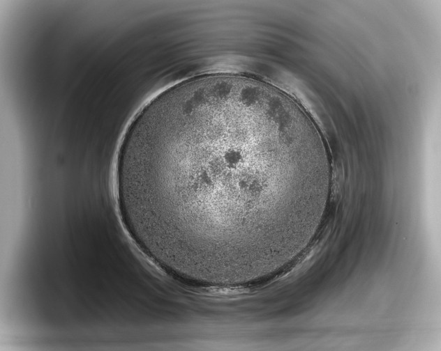 X0000098070795200804110921