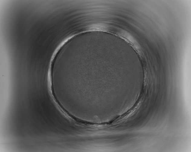 X0000098070796200804110921