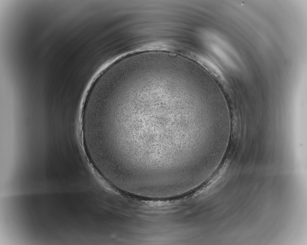 X0000098070800200804110921