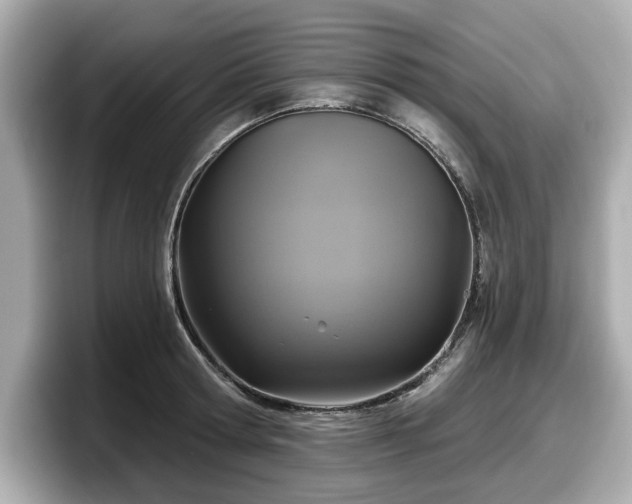 X0000098070802200804110921