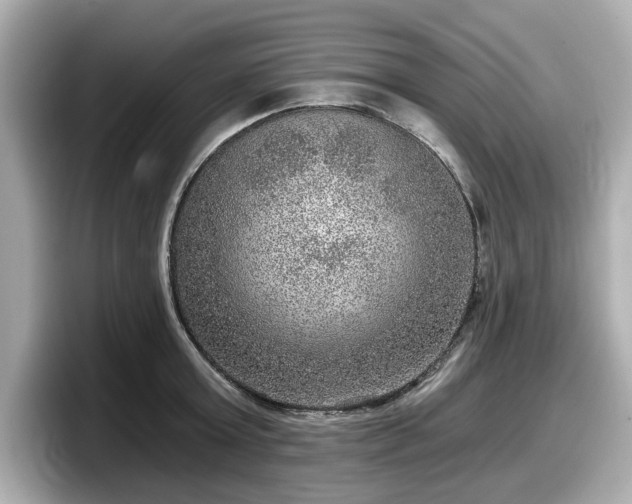 X0000098070803200804110921