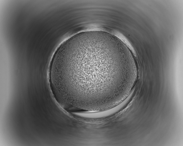 X0000098070805200804110921