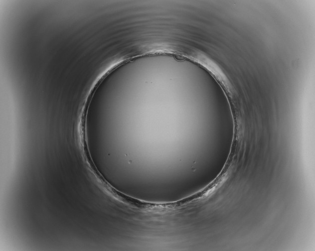 X0000098070806200804110921