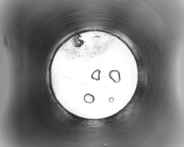 X0000098070807200804110921