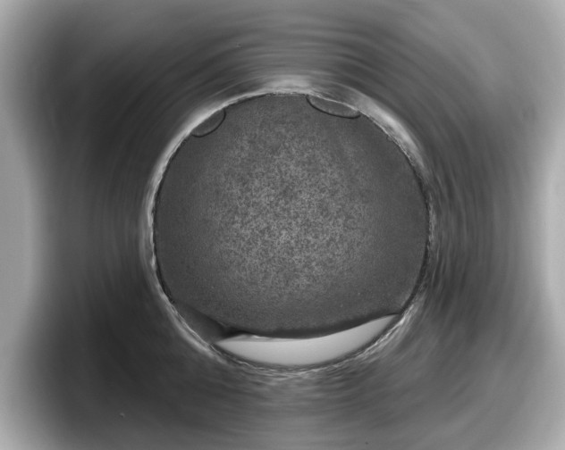 X0000098070808200804110921