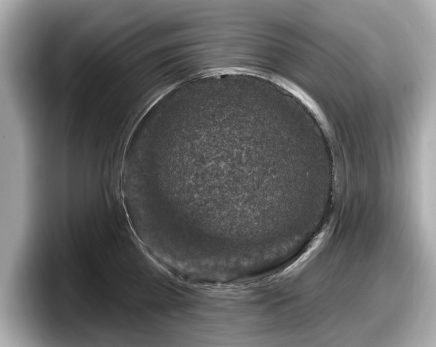 X0000098070809200804110921