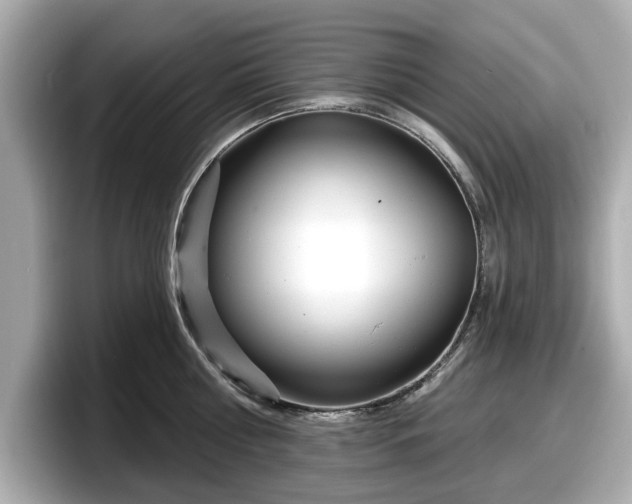 X0000098070810200804110921