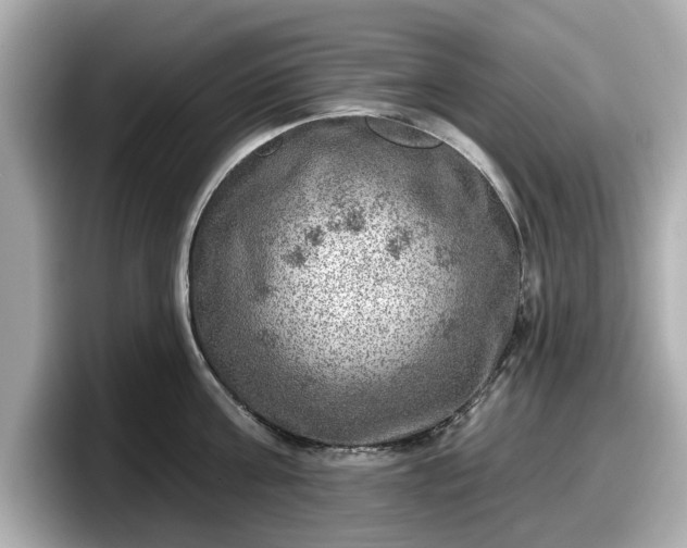 X0000098070811200804110921