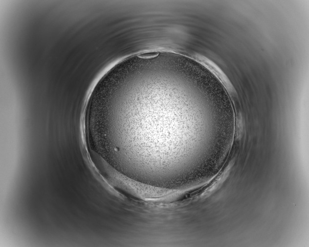 X0000098070812200804110921