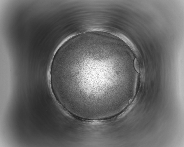 X0000098070814200804110921