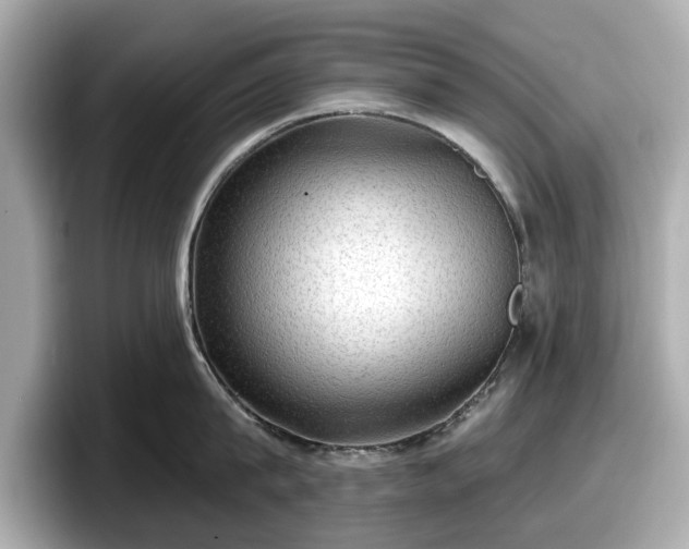 X0000098070815200804110921