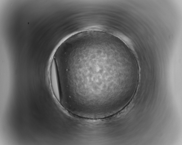 X0000098070816200804110921