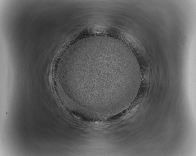 X0000098070817200804110920