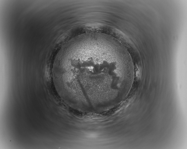 X0000098070819200804110920