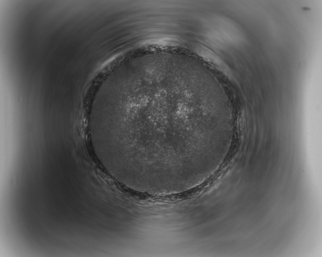 X0000098070822200804110920