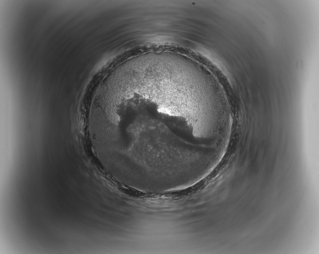 X0000098070823200804110920