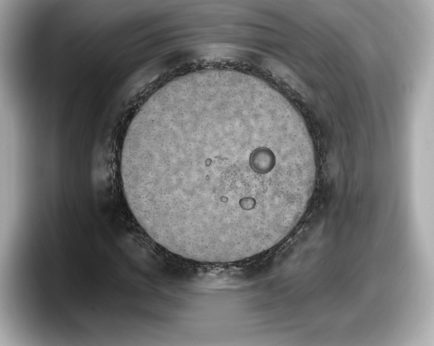 X0000098070824200804110920