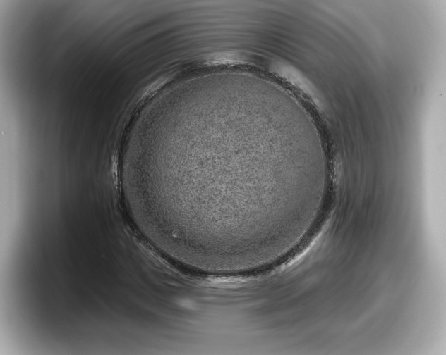 X0000098070825200804110920