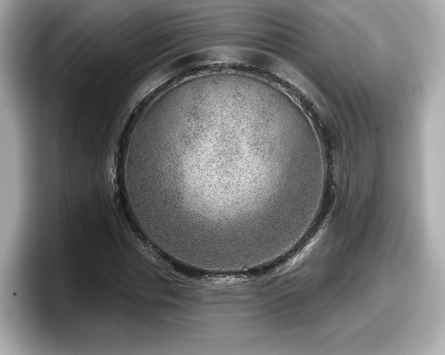 X0000098070826200804110920