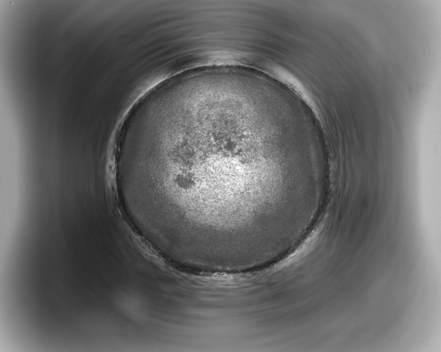 X0000098070827200804110921