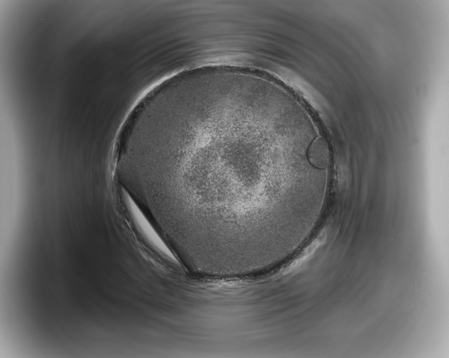 X0000098070830200804110921